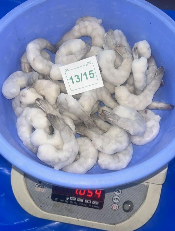 13/15 PD White Frozen Prawns