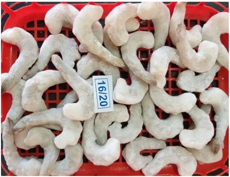16/20 PD White Frozen Prawns