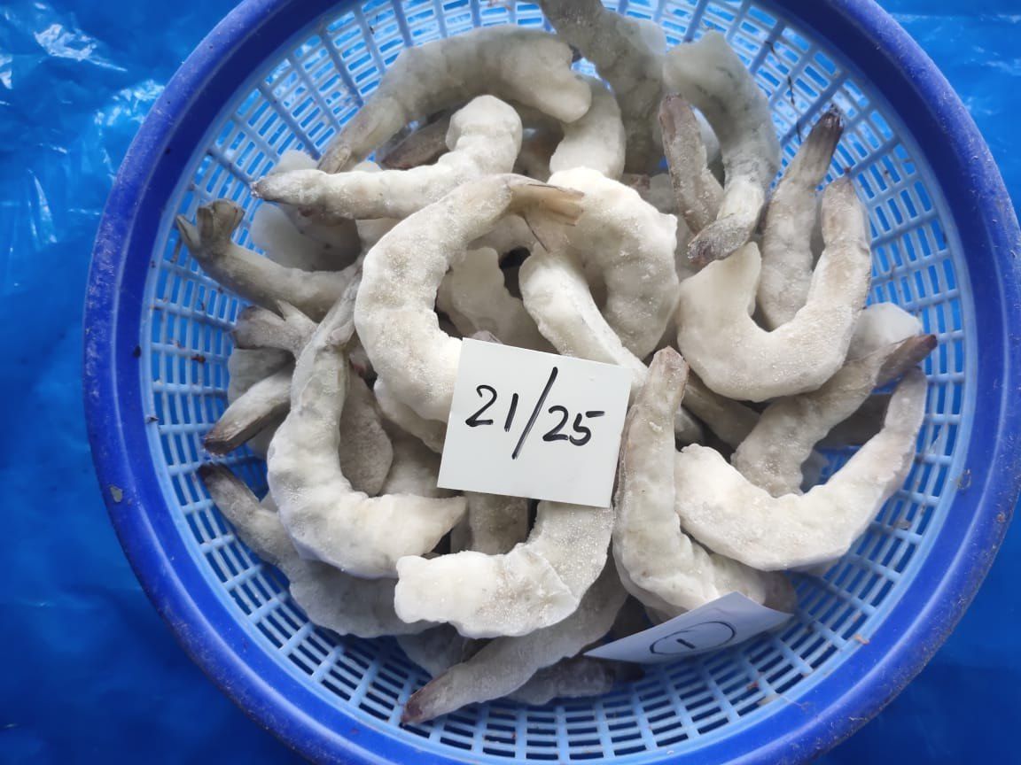 21/25 PD White Frozen Prawns