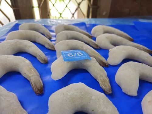 6/8 PD White Frozen Prawns