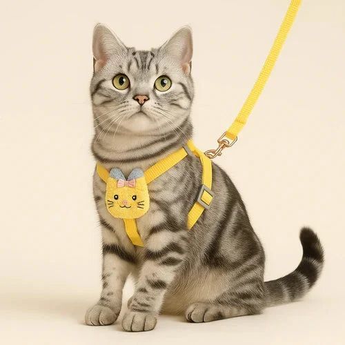 Cat Training Service