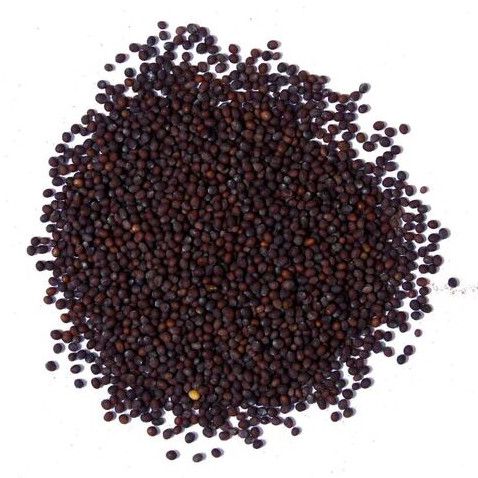 Brown Mustard Seeds