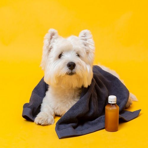 Detox Syrup For Pets