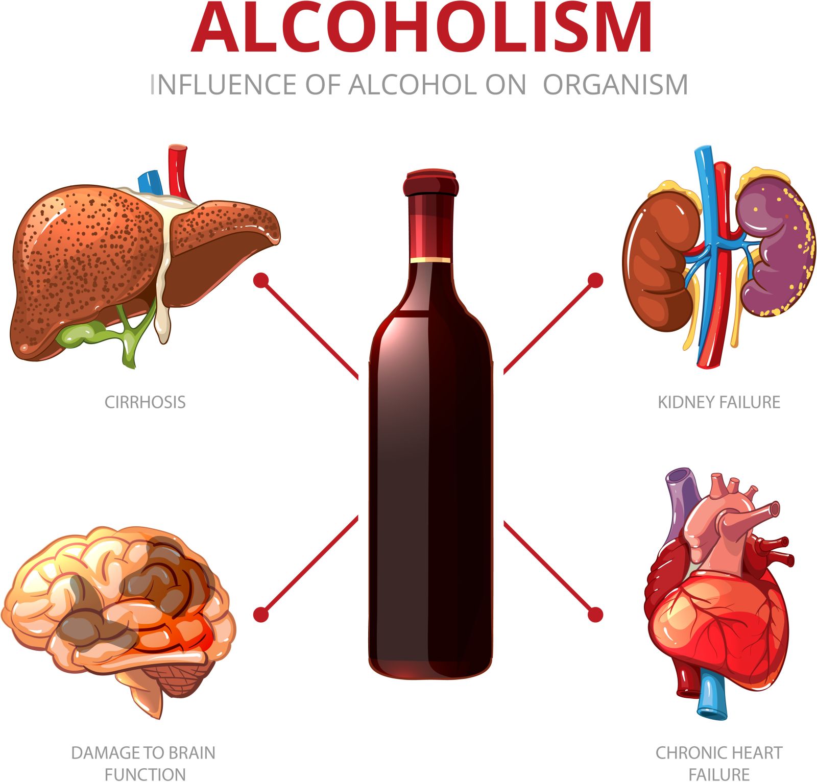 Digestive and Liver Health Drops