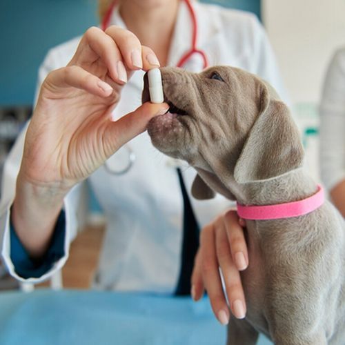 Multi Functional Tablets