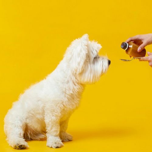 Urinary and Renal Support Syrup