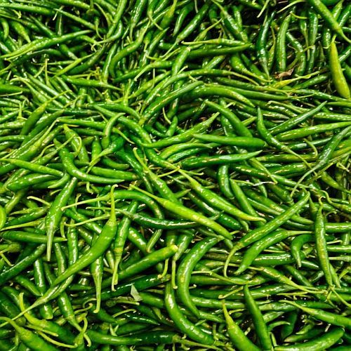 Fresh Green Chilli