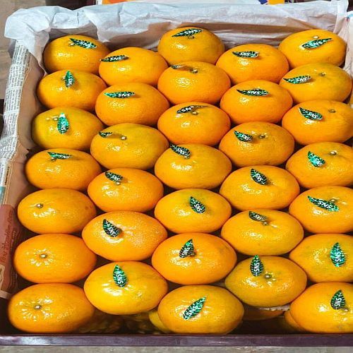 A Grade Fresh Orange