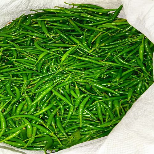 Export Quality Green Chilli