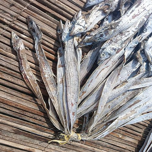 Premium Sun-Dried Large Ribbon Fish