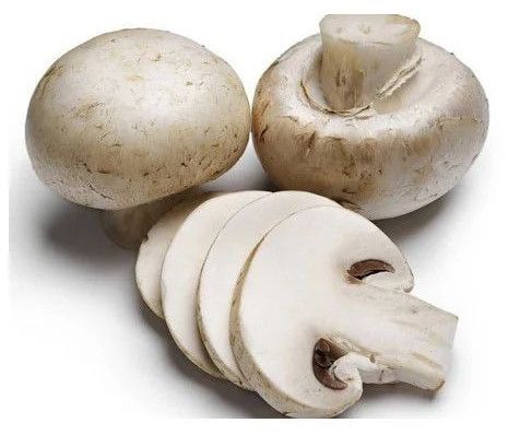 Fresh Button Mushroom