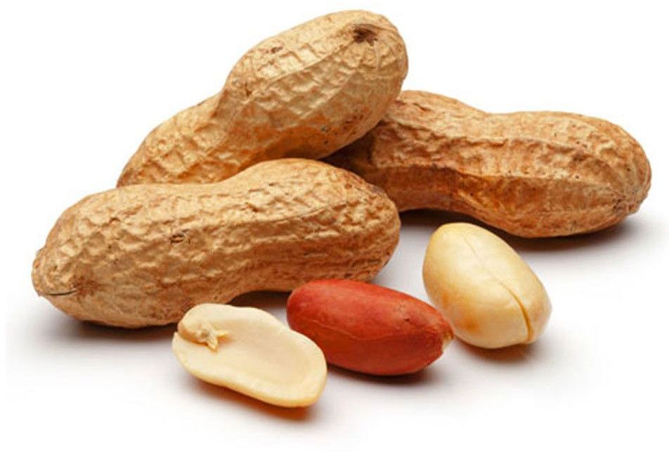 Groundnut Seeds