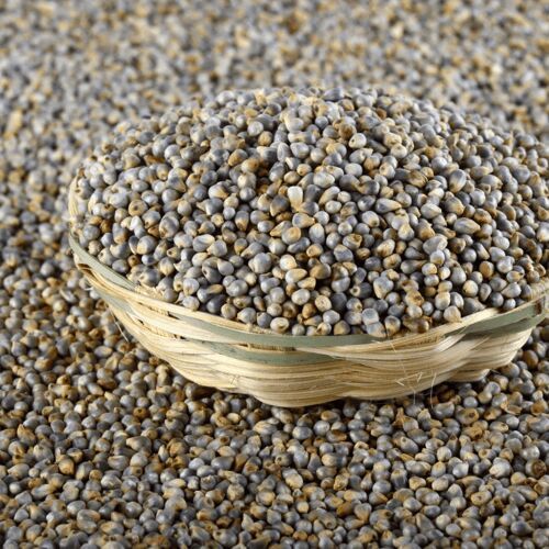Natural Bajra, Variety : Desi, Weight : 50kg bag