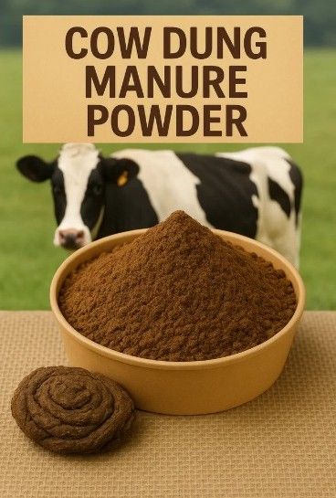 Cow Dung Powder