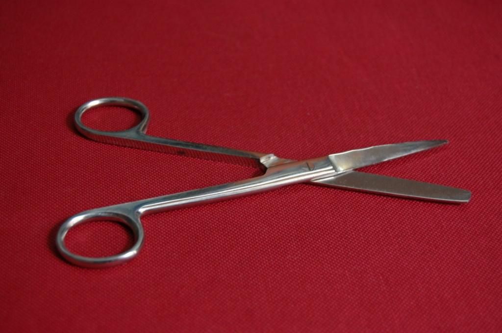 SS Surgical Scissors