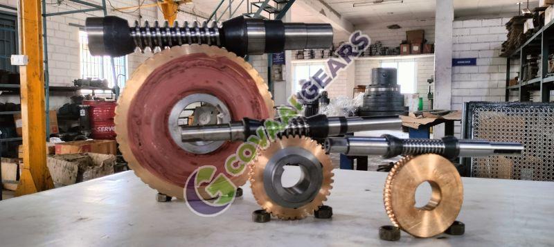 Worm Gear