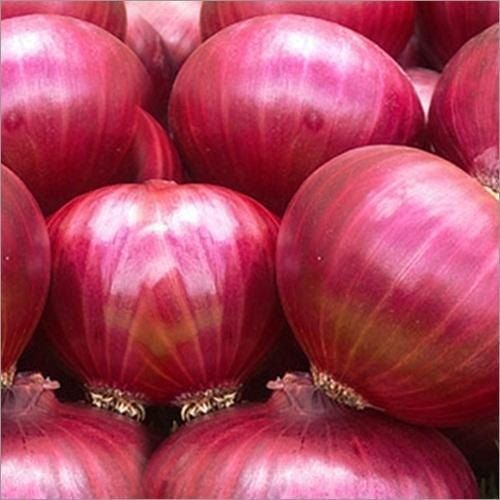 Organic Nashik Red Fresh Onion, Color : Light Brown