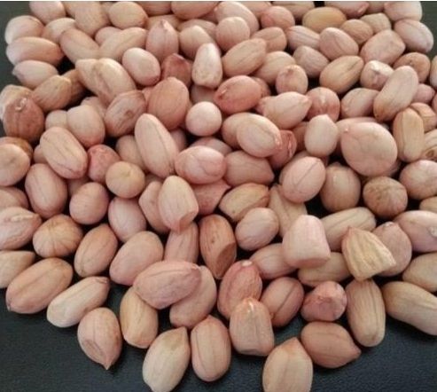 Groundnuts, Shape : Oval for Cooking, Snacking, Baking