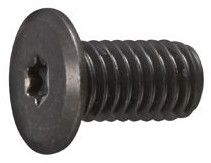 Hexagon Socket Head Cap Screw with Torx Punch
