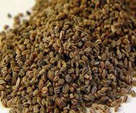Celery Seed Select Oil