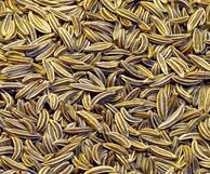 Cumin Seed Select Oil