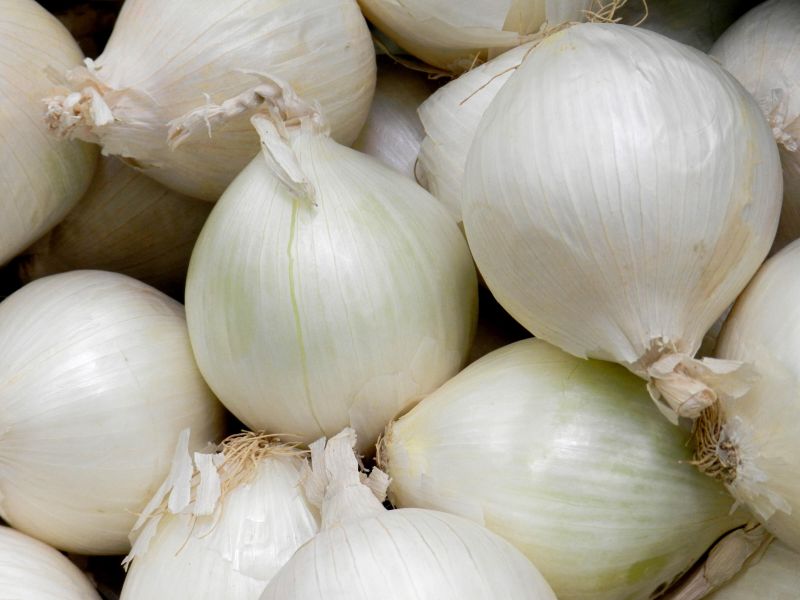 Fresh White Onion