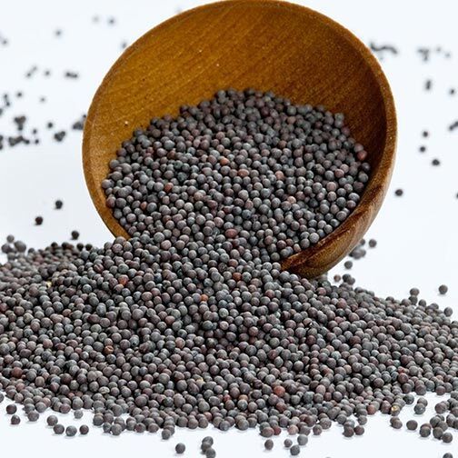 Mustard Seeds Black