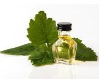 Patchouli Leaf Oil