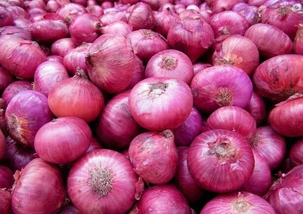 Fresh Pink Onion