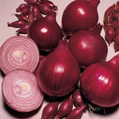 fresh red onion
