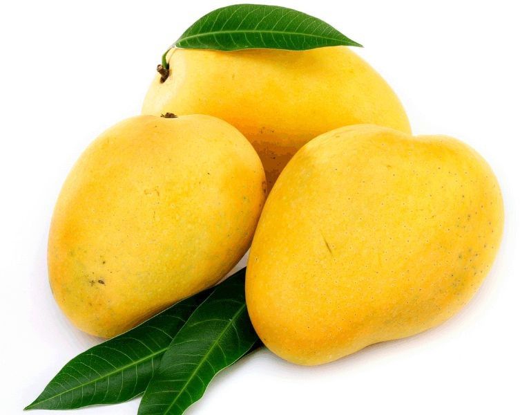Fresh Mango