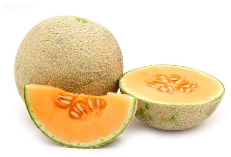 Fresh Muskmelon