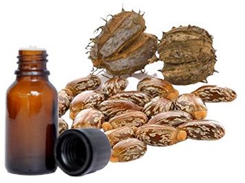 Castor Carrier Oils