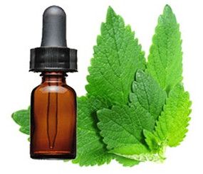 Essential Oil Mint