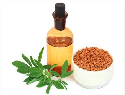 Fenugreek Oleoresins Oil