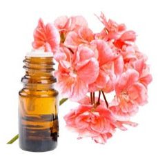 Geranium Oil