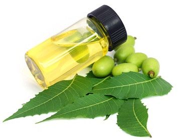 Neem Carrier Oils