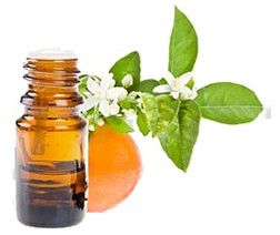 Orange Blossom Absolute Oil
