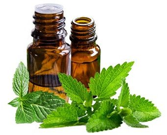 Peppermint Oil