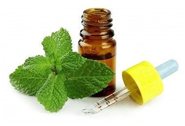 Spearmint Oil