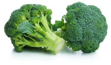 Fresh Broccoli