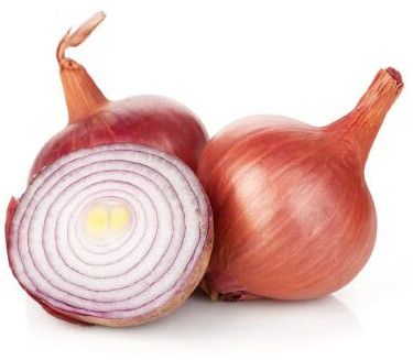 fresh onion
