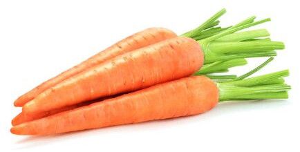Fresh Orange Carrot