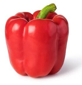 Fresh Red Bell Pepper