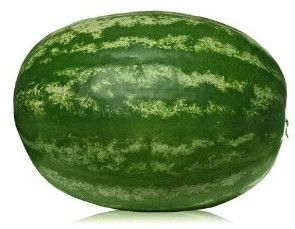 Fresh Watermelon