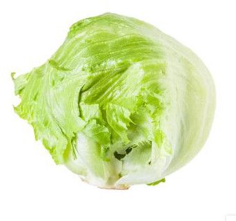 Iceberg Lettuce