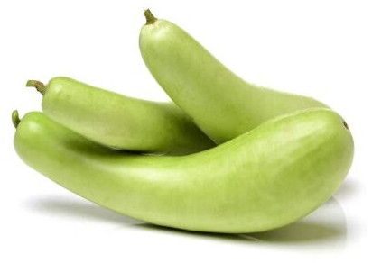 Fresh Loki Bottle Gourd