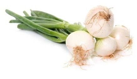 Spring Onion