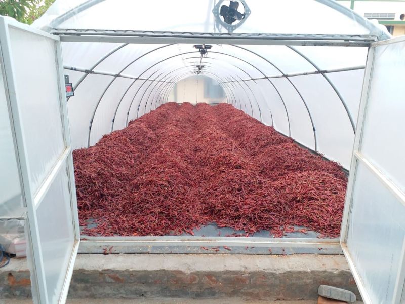 Solar Dryer for Chilli Drying