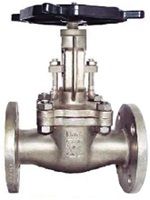 Wcb Globe Valves